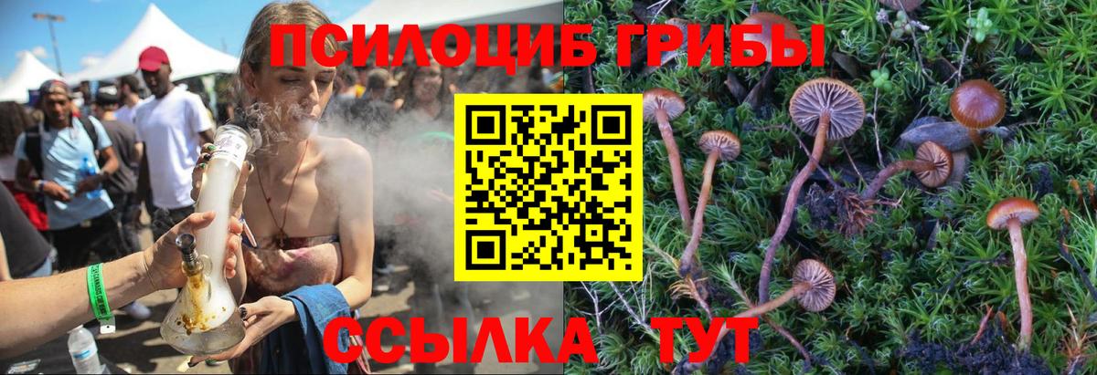 Чебоксары  Псилоцибиновые грибы мицелий  что такое наркотик  Галлюциногенные грибы Psilocybine cubensis  Вход с VPN 